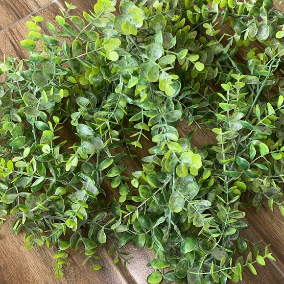 Other - 🪼2 5ft artificial frosted eucalyptus cinerea garland!